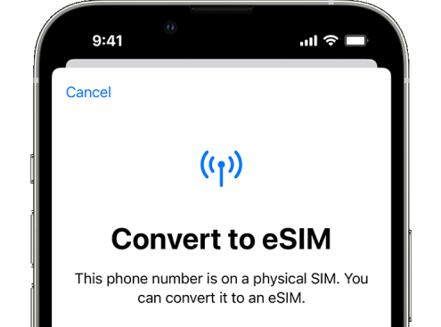 A mobile phone screen showing the text "Convert to eSim", with smaller text below reading "This phone number is on a physical Sim. You can convert it to an eSim". The image links to our guide titled 'What is an eSim?'.